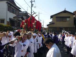 P1010653.jpg