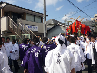 P1010654.jpg