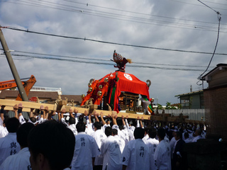 P1010660.jpg