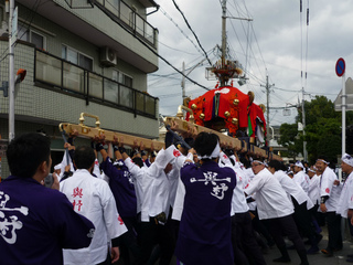 P1010668.jpg