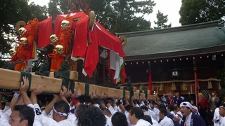 sP1000530.jpg