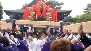 sP1000545.jpg